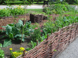 Плетеная изгородь Плетеная изгородь