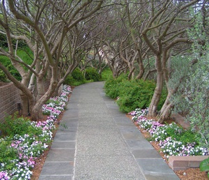 Садовая дорожка из бетона Садовая дорожка из бетона