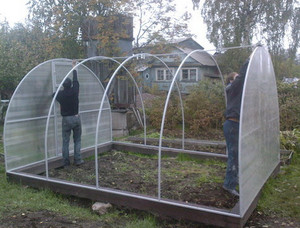 Каракас теплицы из поликарбоната Каракас теплицы