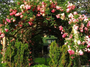 Садовые арки из дерева