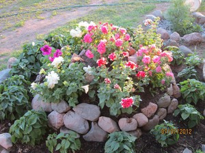 Фото готовой клумбы из булыжника Клумба из булыжника