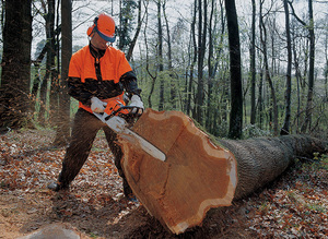 Как выбирать электропилу цепную по мощности двигателя Мощность двигателей цепных электрических пил