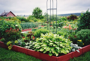 Выбор ограждений для грядок и клумб Создаем поднятую грядку своими руками